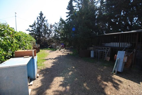 Apartment for sale in Campoamor, Alicante, Spain 2 bedrooms, 200 sq.m. No. 164991 - photo 20