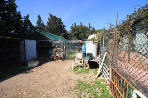 Apartment for sale in Campoamor, Alicante, Spain 2 bedrooms, 200 sq.m. No. 164991 - photo 21