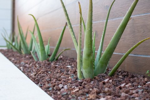 Villa for sale in Los Montesinos, Alicante, Spain 3 bedrooms,  No. 164987 - photo 19