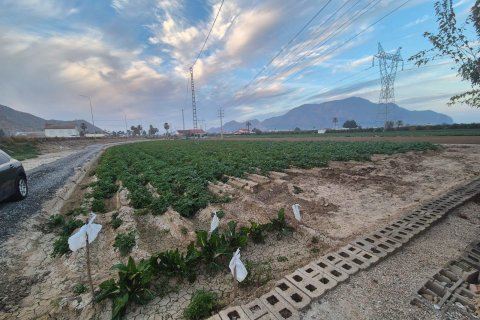 Finca zum Verkauf in Alicante, Spanien 3 Schlafzimmer, 170 m2 Nr. 160866 - Foto 10