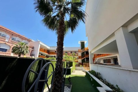 Apartment à vendre à Torrevieja, Alicante, Espagne, 2 chambres, 60 m2 No. 165589 - photo 23