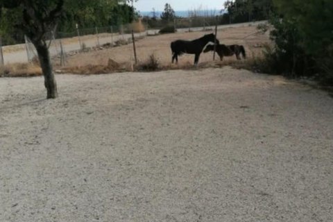 Casa in vendita a Villajoyosa, Alicante, Spagna 4 camere da letto, 241 mq. N° 165673 - foto 13
