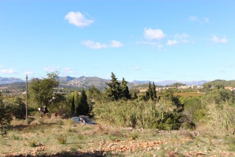 Land plot à vendre Javea, Alicante, EspagneNo. 80557 - photo 3