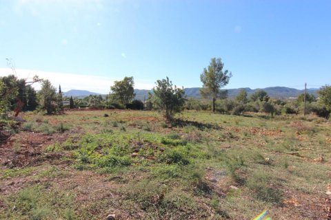 Land plot à vendre Javea, Alicante, EspagneNo. 80557 - photo 5