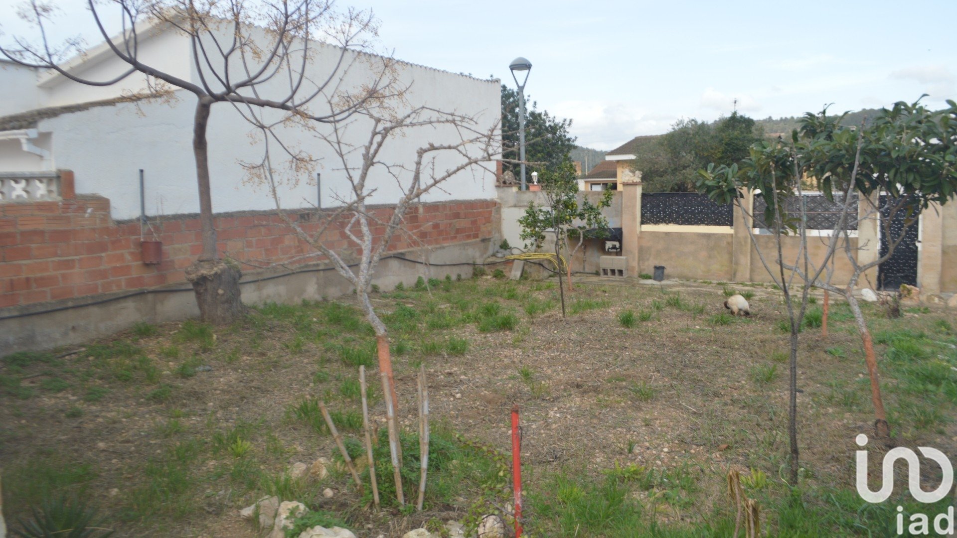 Parcela en La Bisbal Del Penedes, Tarragona, España 610 m2 No. 185964