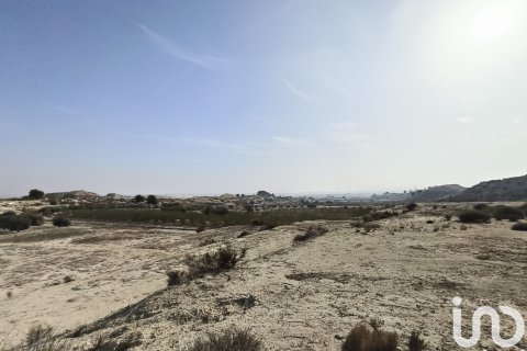 Terreno in vendita a Fortuna, Murcia, Spagna 12025 mq. N° 185966 - foto 5