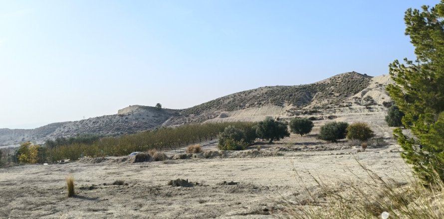 Terreno a Fortuna, Murcia, Spagna 12025 mq. N° 185966