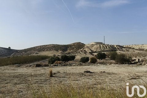 Terreno in vendita a Fortuna, Murcia, Spagna 12025 mq. N° 185966 - foto 2