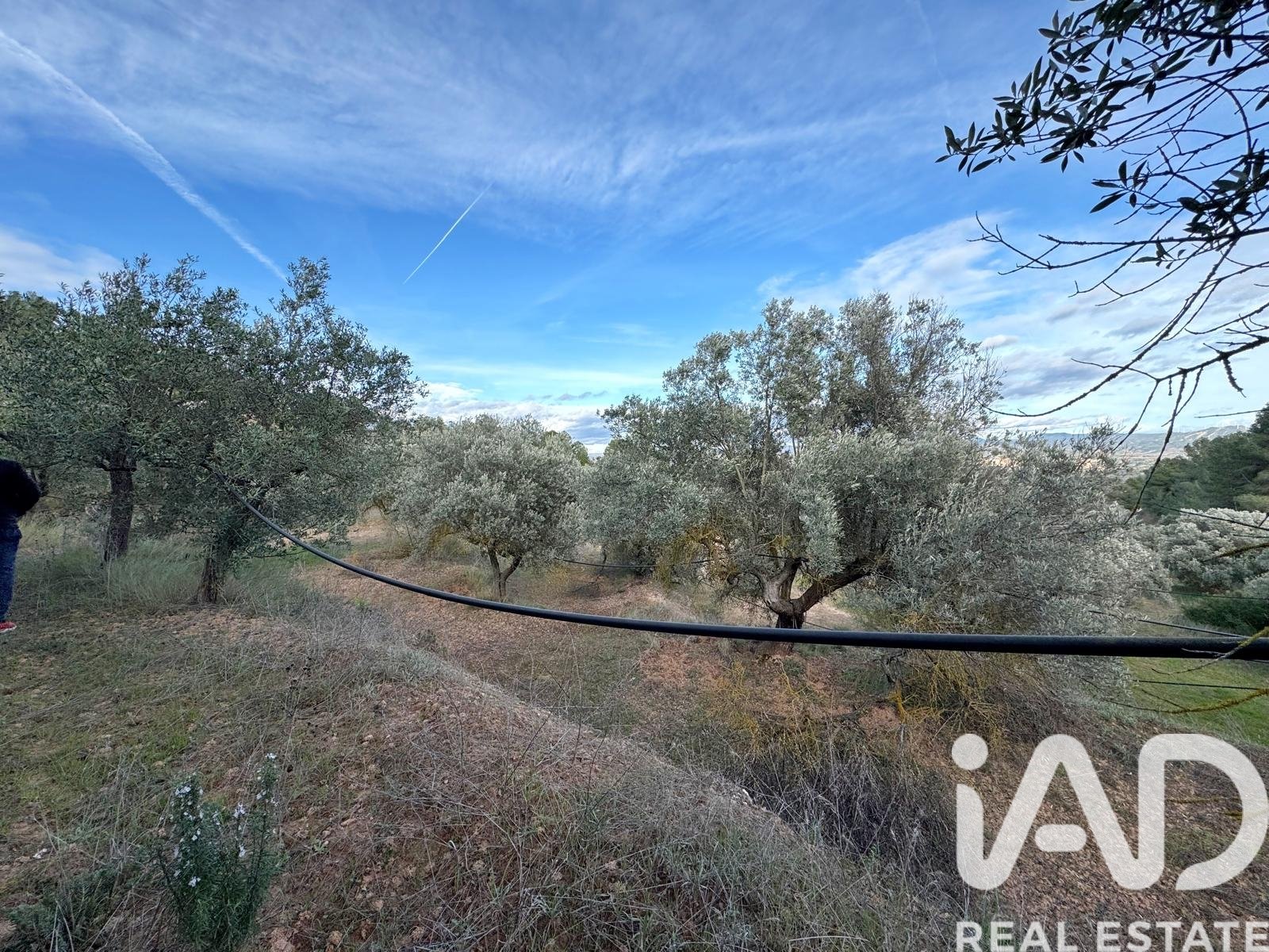 Land plot in Asco, Tarragona, Spain 27876 sq.m. No. 185042