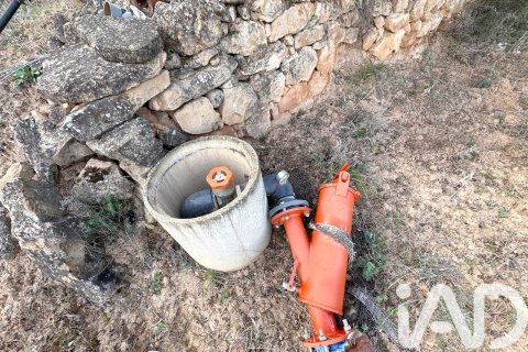 Land plot à vendre à Asco, Tarragona, Espagne, 27876 m2 No. 185042 - photo 6