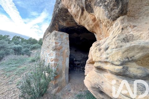 Land plot à vendre à Asco, Tarragona, Espagne, 27876 m2 No. 185042 - photo 9