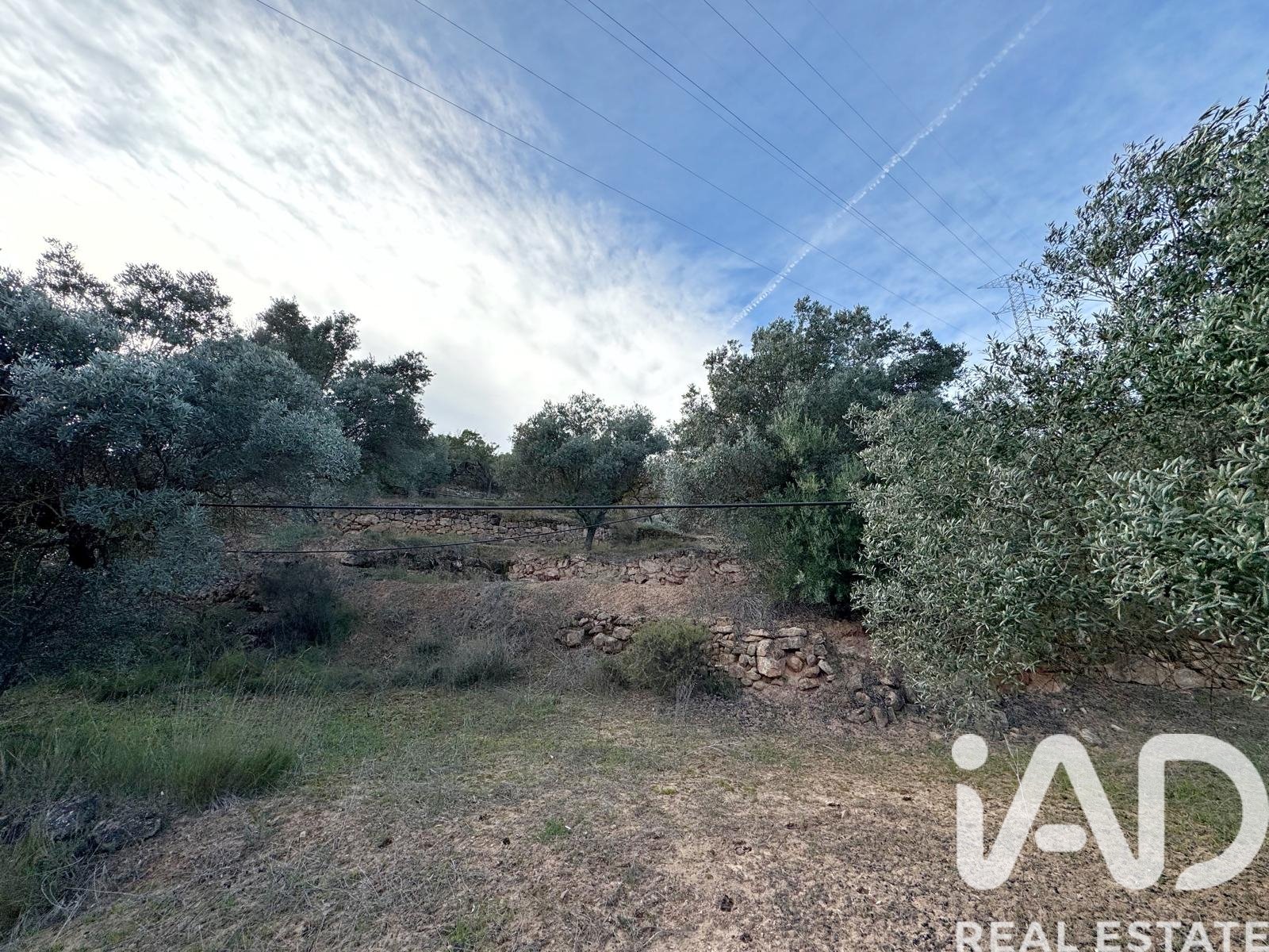 Land plot in Asco, Tarragona, Spain 27876 sq.m. No. 185042