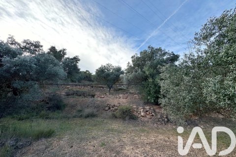 Land plot à vendre à Asco, Tarragona, Espagne, 27876 m2 No. 185042 - photo 12