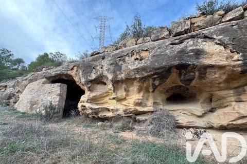 Land plot à vendre à Asco, Tarragona, Espagne, 27876 m2 No. 185042 - photo 10