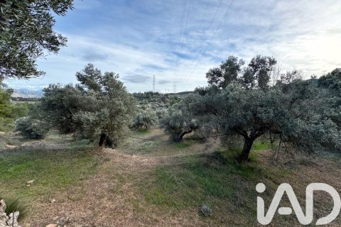 Land plot à vendre à Asco, Tarragona, Espagne, 27876 m2 No. 185042 - photo 13