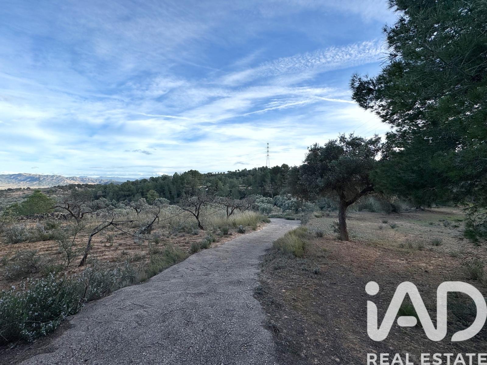 Land plot in Asco, Tarragona, Spain 27876 sq.m. No. 185042