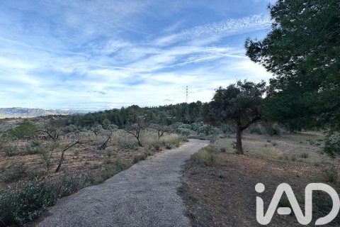 Land plot à vendre à Asco, Tarragona, Espagne, 27876 m2 No. 185042 - photo 14