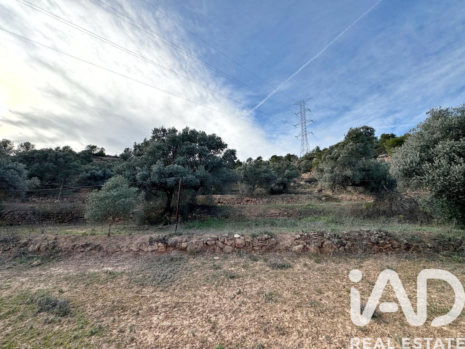 Land plot in Asco, Tarragona, Spain 27876 sq.m. No. 185042