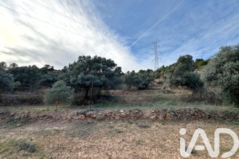 Land plot à vendre à Asco, Tarragona, Espagne, 27876 m2 No. 185042 - photo 3
