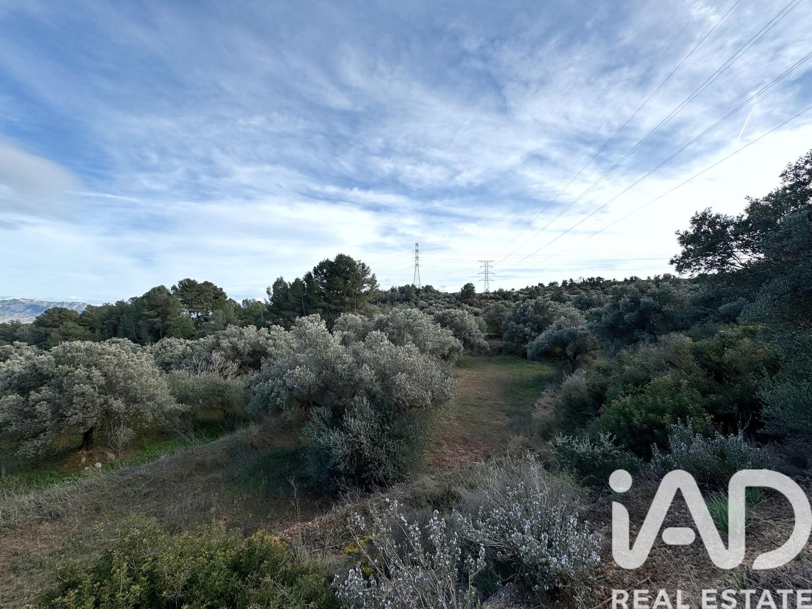 Land plot in Asco, Tarragona, Spain 27876 sq.m. No. 185042