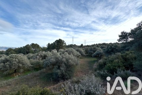 Land plot à vendre à Asco, Tarragona, Espagne, 27876 m2 No. 185042 - photo 11