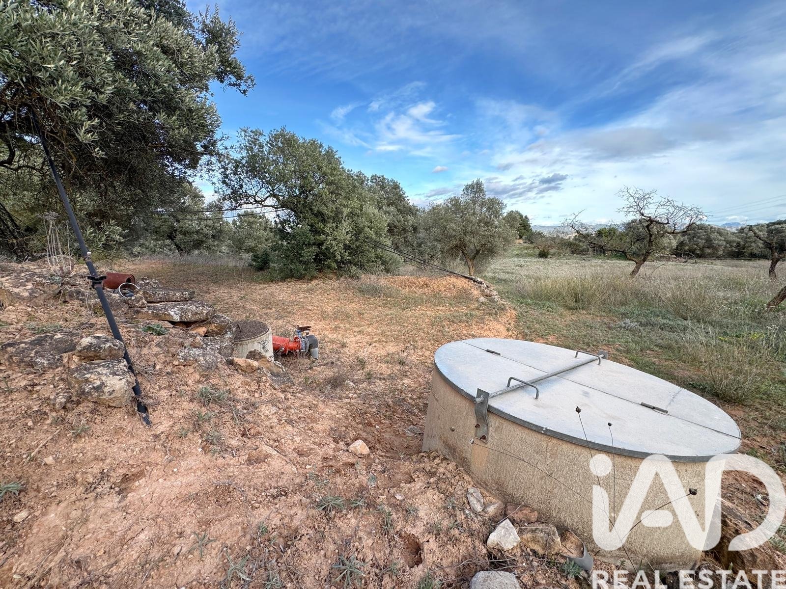 Land plot in Asco, Tarragona, Spain 27876 sq.m. No. 185042