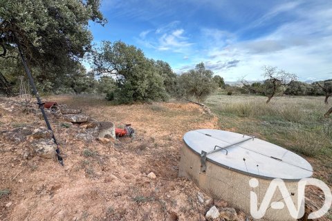 Land plot à vendre à Asco, Tarragona, Espagne, 27876 m2 No. 185042 - photo 5