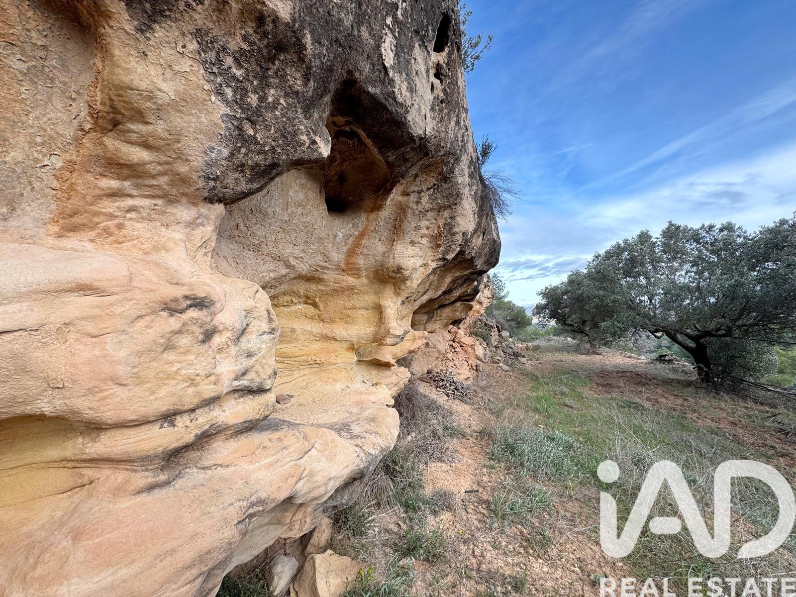 Land plot in Asco, Tarragona, Spain 27876 sq.m. No. 185042