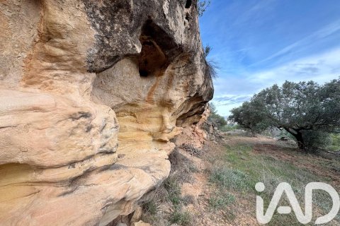 Land plot à vendre à Asco, Tarragona, Espagne, 27876 m2 No. 185042 - photo 8