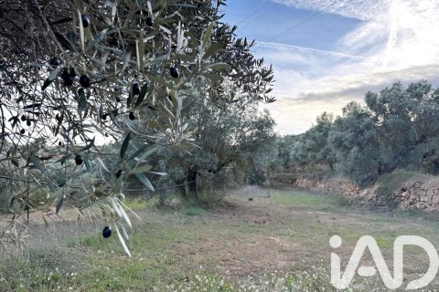 Land plot à vendre à Asco, Tarragona, Espagne, 27876 m2 No. 185042 - photo 4