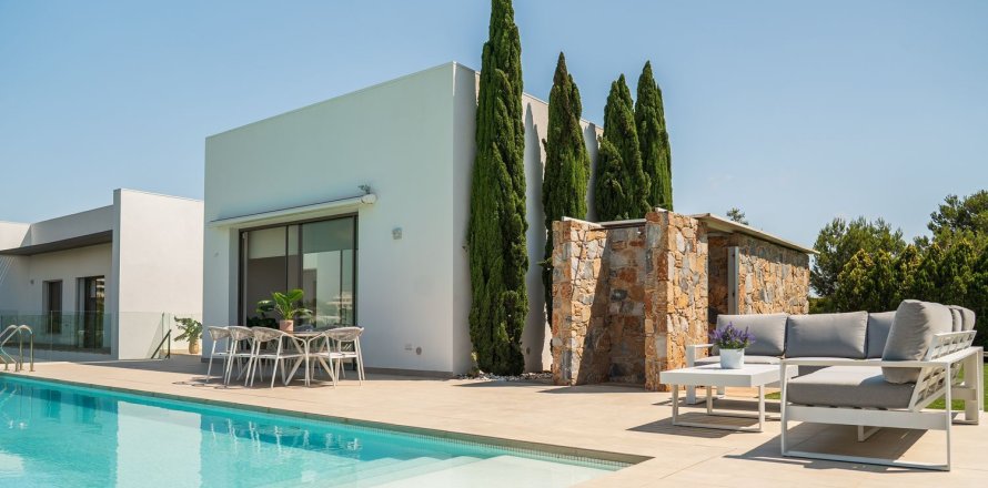 Villa in Pinar De Campoverde, Alicante, Spanien 4 Schlafzimmer, 250 m2 Nr. 143647