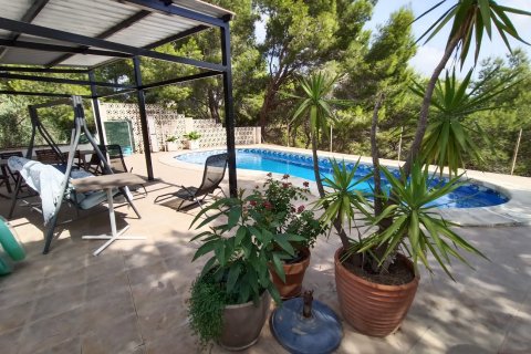 Villa īrēšanai Murcia, Spānijā 3 istabas, 141 m2 Nr. 182230 - attēls 13