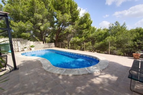 Villa īrēšanai Murcia, Spānijā 3 istabas, 141 m2 Nr. 182230 - attēls 12