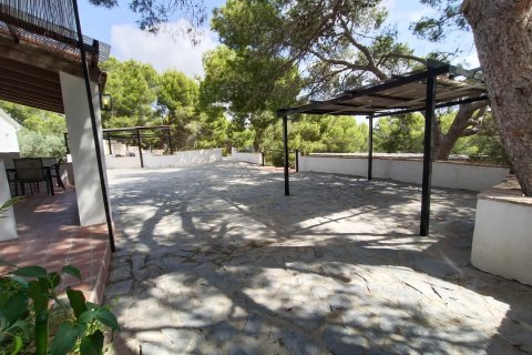 Villa īrēšanai Murcia, Spānijā 3 istabas, 141 m2 Nr. 182230 - attēls 11
