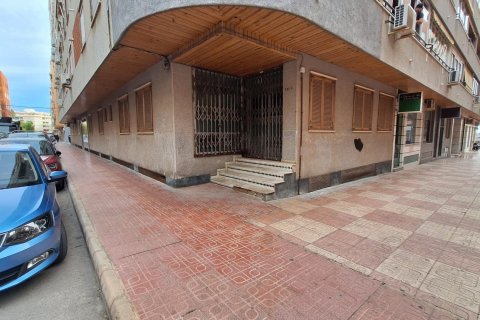 Продажа квартиры в Торревьеха, Аликанте, Испания 3 спальни, 171м2 №119978 - фото 4