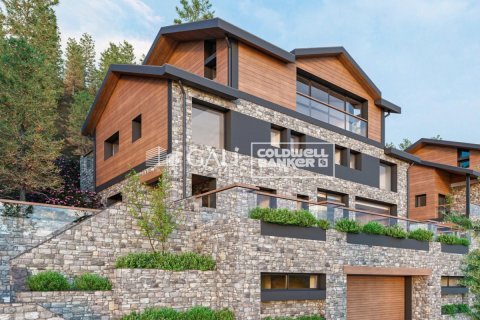 Villa a Principado De Andorra (Ninguna Poblacion Tiene C.P.), Lleida, Spagna 5 camere da letto, 574 mq. N° 157087