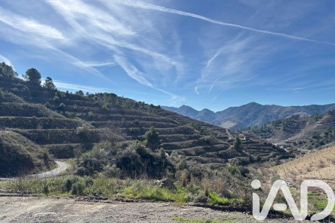 Gewerbeimmobilien zum Verkauf in Tarragona, Spanien Nr. 173125 - Foto 4