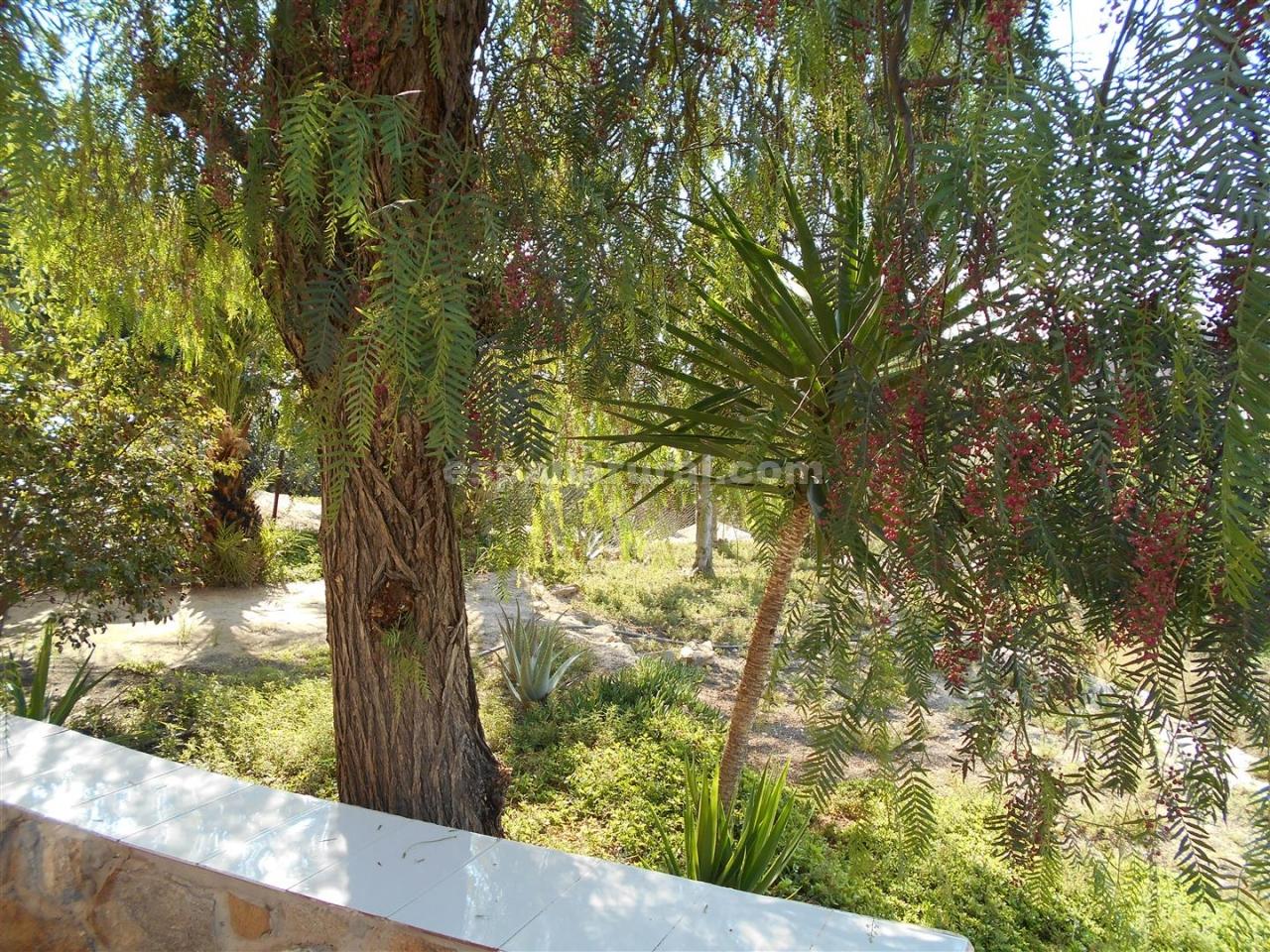 House in Albox, Almeria, Spanien 5 Schlafzimmer, 300 m2 Nr. 184132