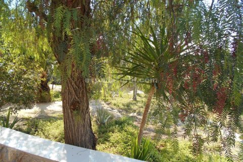 House zum Verkauf in Albox, Almeria, Spanien 5 Schlafzimmer, 300 m2 Nr. 184132 - Foto 16