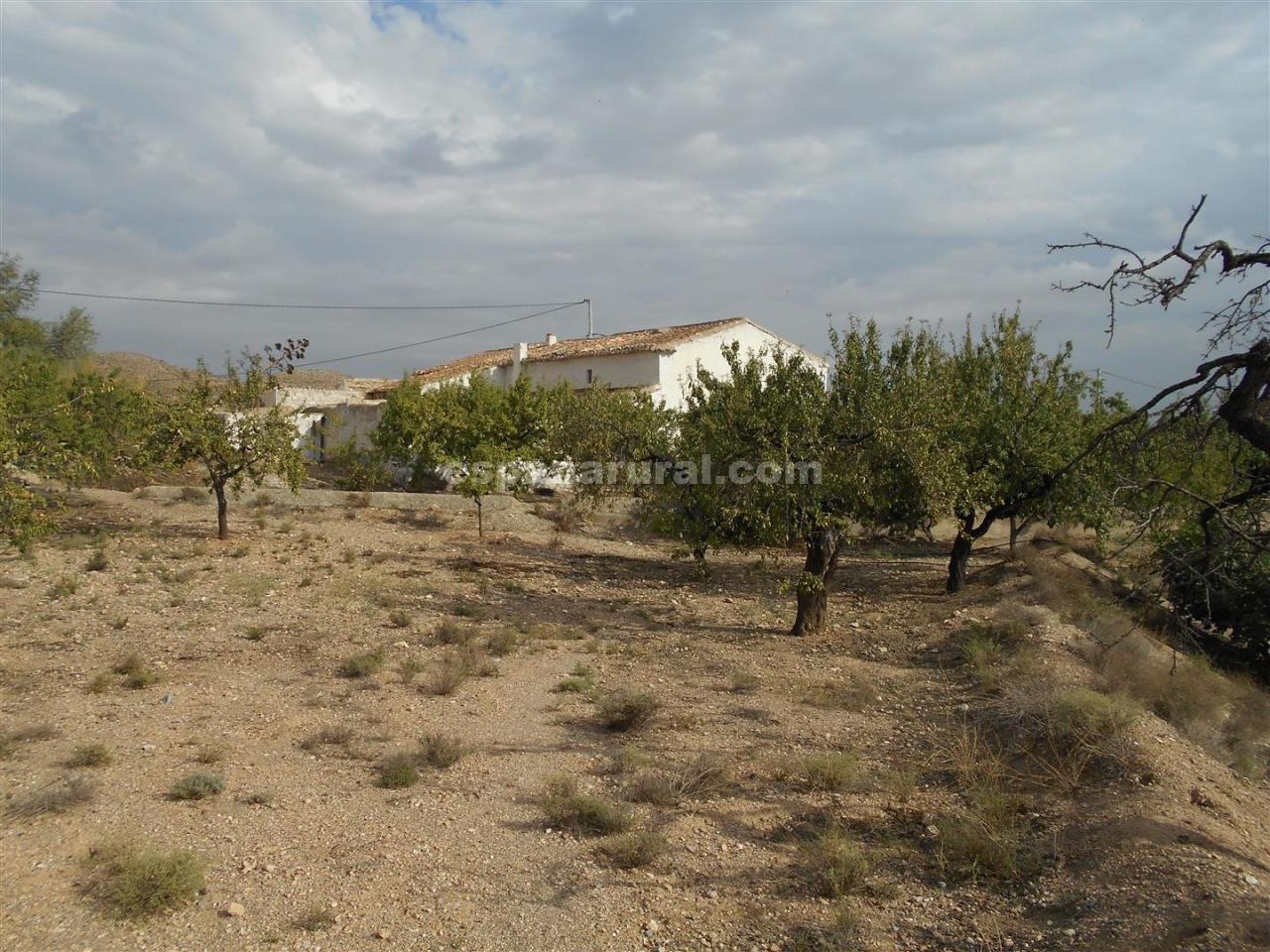 Casa a Albox, Almeria, Spagna 6 camere da letto, 180 mq. N° 184134
