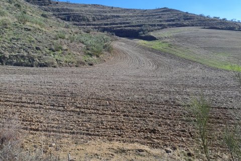 Tontti vuokrattavana Los Santos de la Humosa, Madrid, Espanja , 27760 m2 No. 154325 - kuva 5