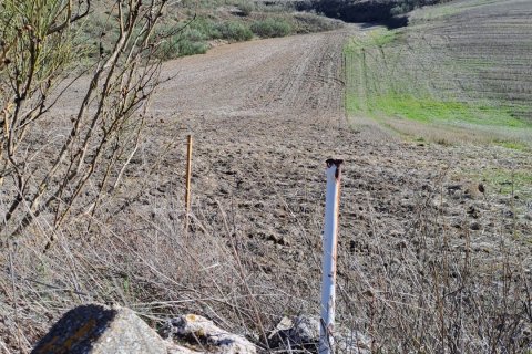 Tontti vuokrattavana Los Santos de la Humosa, Madrid, Espanja , 27760 m2 No. 154325 - kuva 6