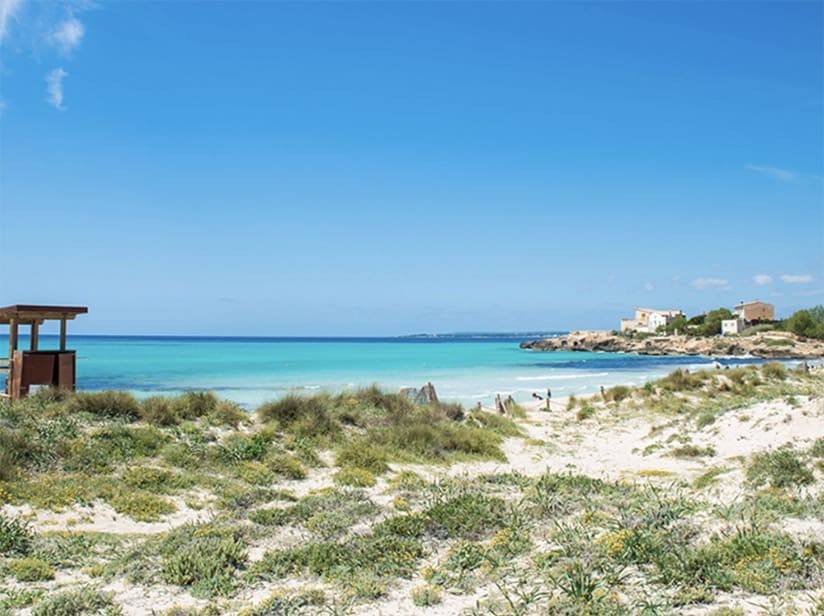 Apartment à Sa Rapita, Mallorca, Espagne 2 chambres, 94 m2 No. 143970