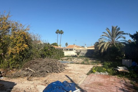 Działka w Torrevieja, Alicante, Hiszpania nr 147254 – zdjęcie 2