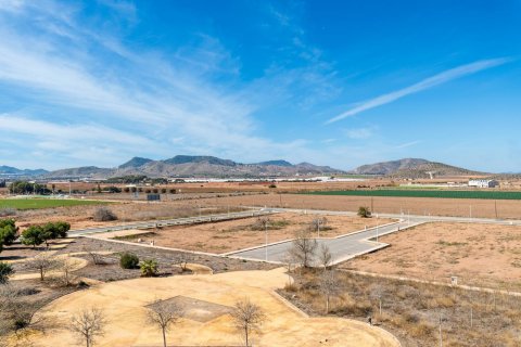 Apartament Mar De Cristal, Murcia, Hiszpania 2 sypialnie, 127 mkw. nr 113970 – zdjęcie 21