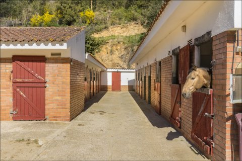 Talo myytävänä Sant Andreu de Llavaneres, Barcelona, Espanja, 5 makuuhuonetta,  No. 141324 - kuva 8