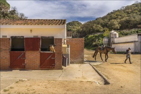 Talo myytävänä Sant Andreu de Llavaneres, Barcelona, Espanja, 5 makuuhuonetta,  No. 141324 - kuva 11