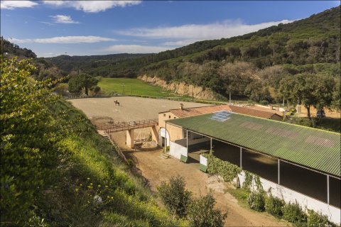 Talo myytävänä Sant Andreu de Llavaneres, Barcelona, Espanja, 5 makuuhuonetta,  No. 141324 - kuva 12