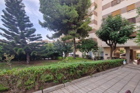 Dzīvoklis Alicante, Spānijā 2 istabas, 112 m2 Nr. 165727
