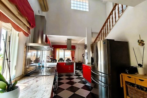 Villa pārdošanā Villacostas, Alicante, Spānijā 214 m2 Nr. 190467 - attēls 17
